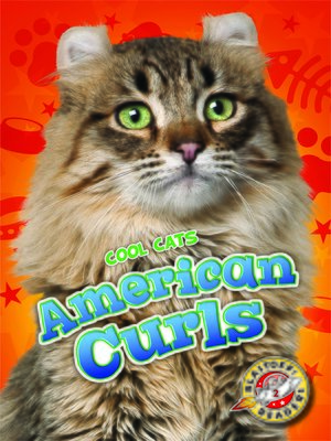 cover image of American Curls